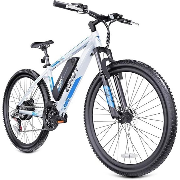 Totem 750W Electric Bike for Adults and Teens