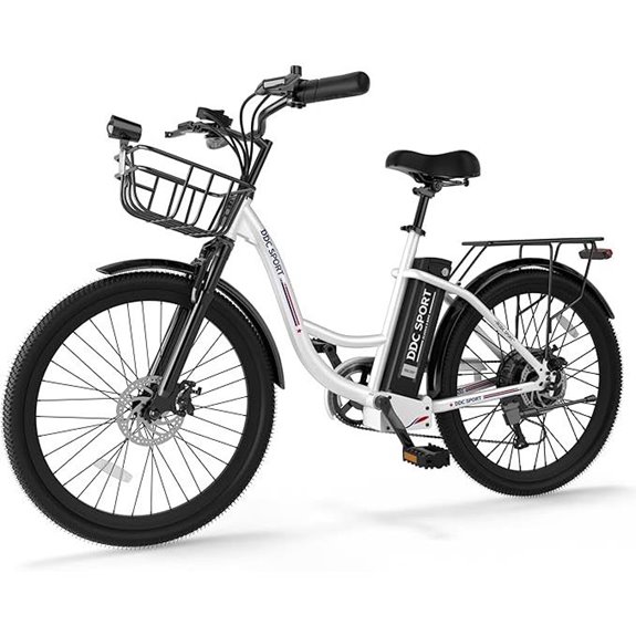 24 Electric Bike for Adults with 700W/1000W Motor