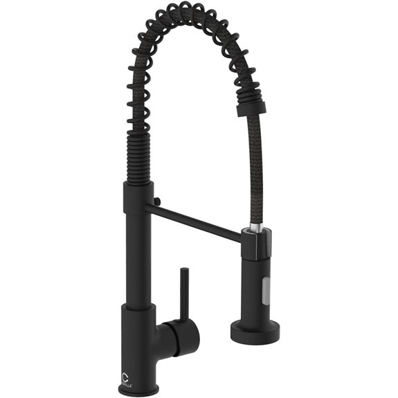 Black Kitchen Sink Faucet with Pull-Down Sprayer