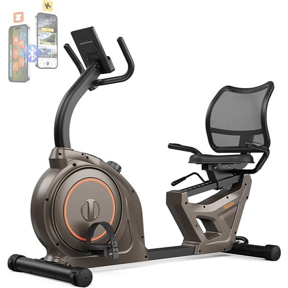 Niceday Recumbent Exercise Bike with Bluetooth