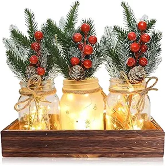 3PCS Christmas Mason Jars with Wood Tray & Flowers