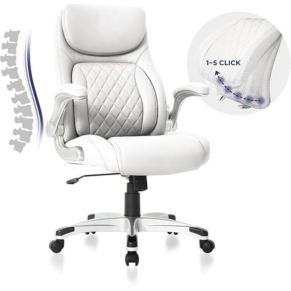 Nouhaus Ergonomic Office Chair with Lumbar Support