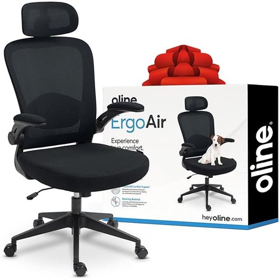 Oline ErgoAir Ergonomic Office Chair with Lumbar