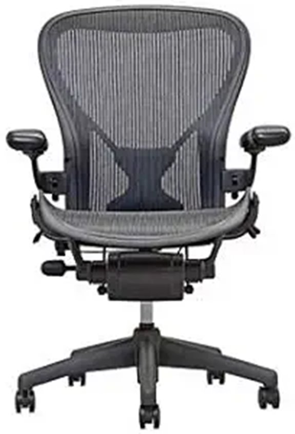 Aeron Size B - Posture Fit Graphite Classic Carbon Pellicle
