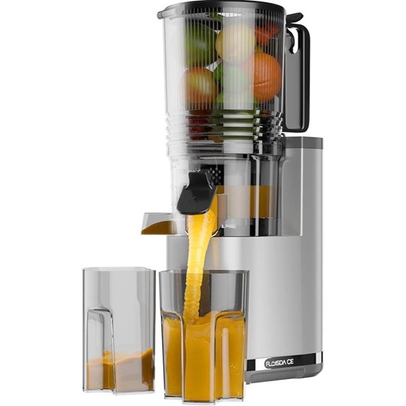 Cold Press Juicer with Large Feed Chute and High Yield
