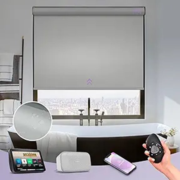 Graywind Motorized Blackout Roller Shades with Remote