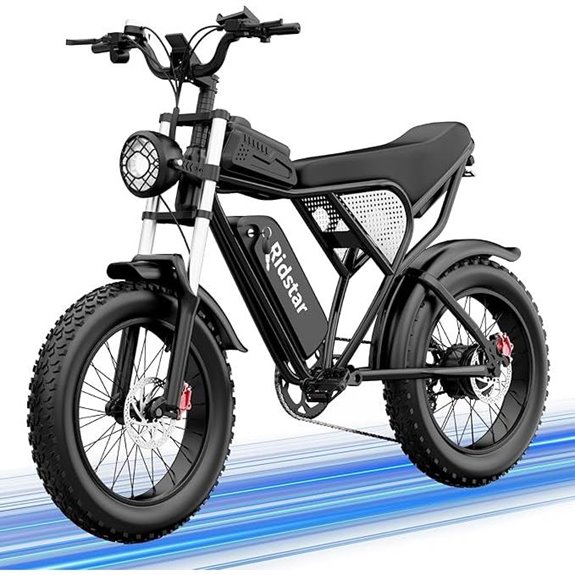 Electric Fat Tire Electric Bike for Adults