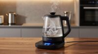 top temp control electric kettles