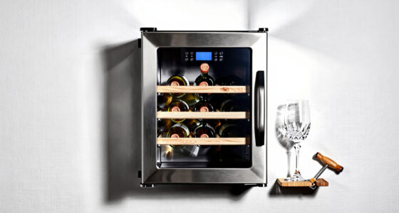 6 Best Wine Coolers in 2026 — The Ultimate Buying Guide
