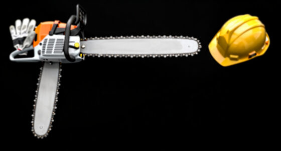 9 Best Chainsaws in 2026