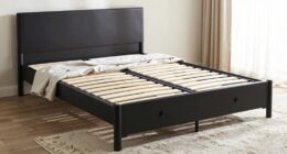 functional and aesthetic bed frames