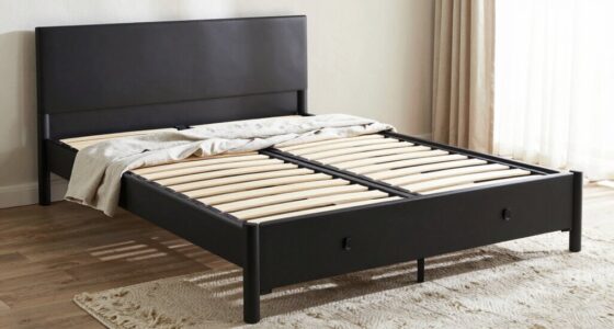 functional and aesthetic bed frames