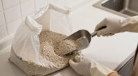 The Inventor of Tidy Cats Lightweight Cat Litter Explains Why Heavier Isn't Always Better